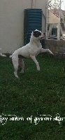 Izy Snow of Ayron star